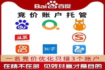某品牌SEM推广代运营的实践与效果评估